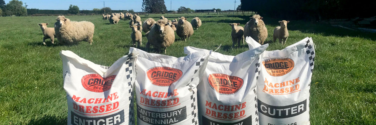 Northern sowing mixes
