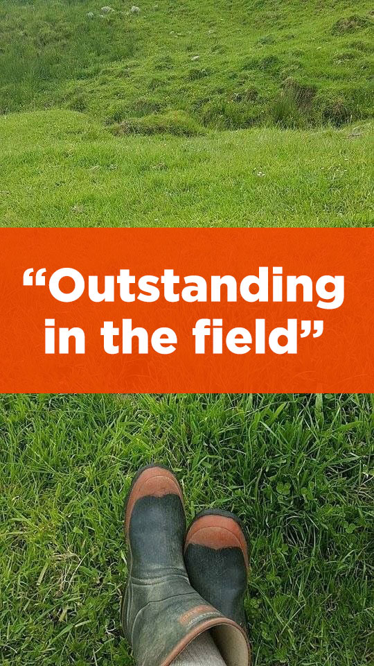 Outstanding in the field